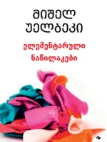 ელემენტარული ნაწილაკები